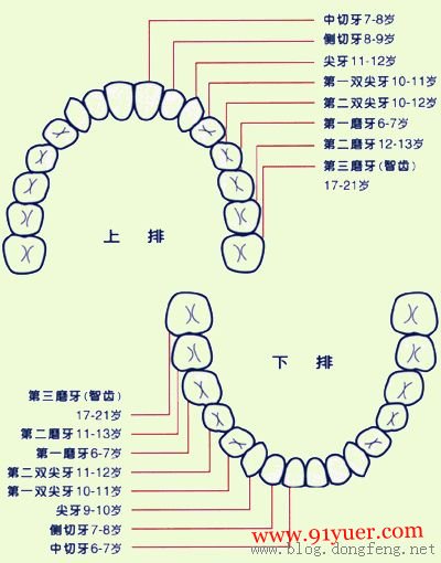 儿童换牙注意事项为你探索儿童换牙的秘密
